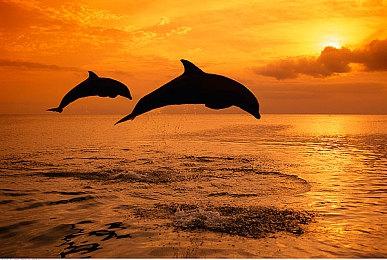 超级任天堂世界大金刚区域将于12月11日正式开放